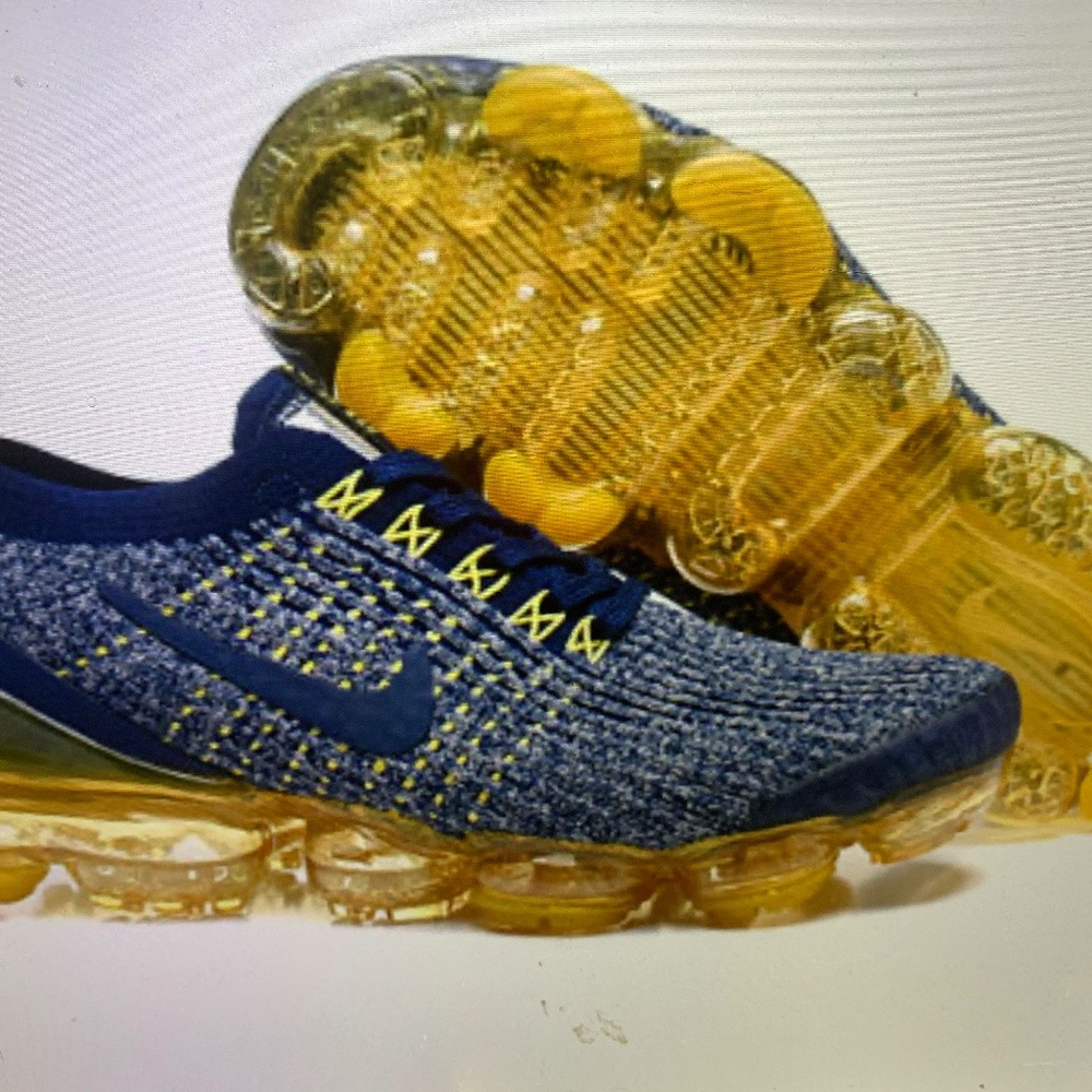 Nike Vapor Max Plus